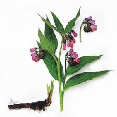 Kostivalov&yacute; kr&eacute;m s jalovcem GLO.