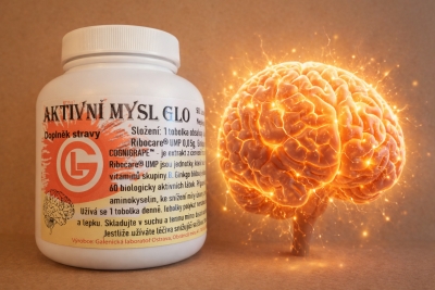 AKTIVN&Iacute; MYSL GLO