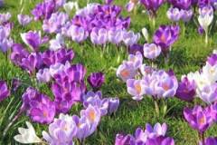 Udělejte něco pro zdraví svých očí.